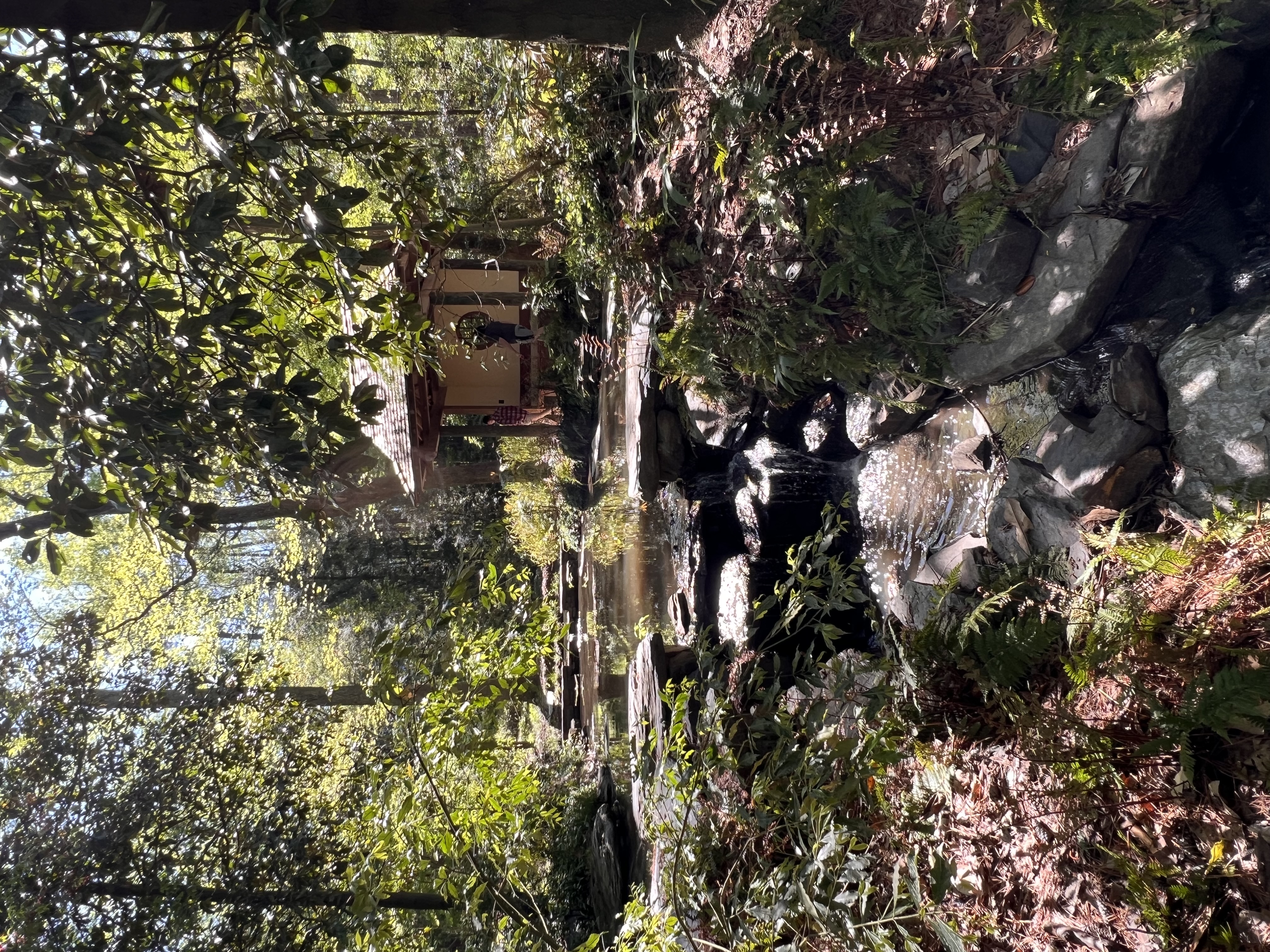 ./2023/05 - Toni Adventures/IMG_3121.JPG